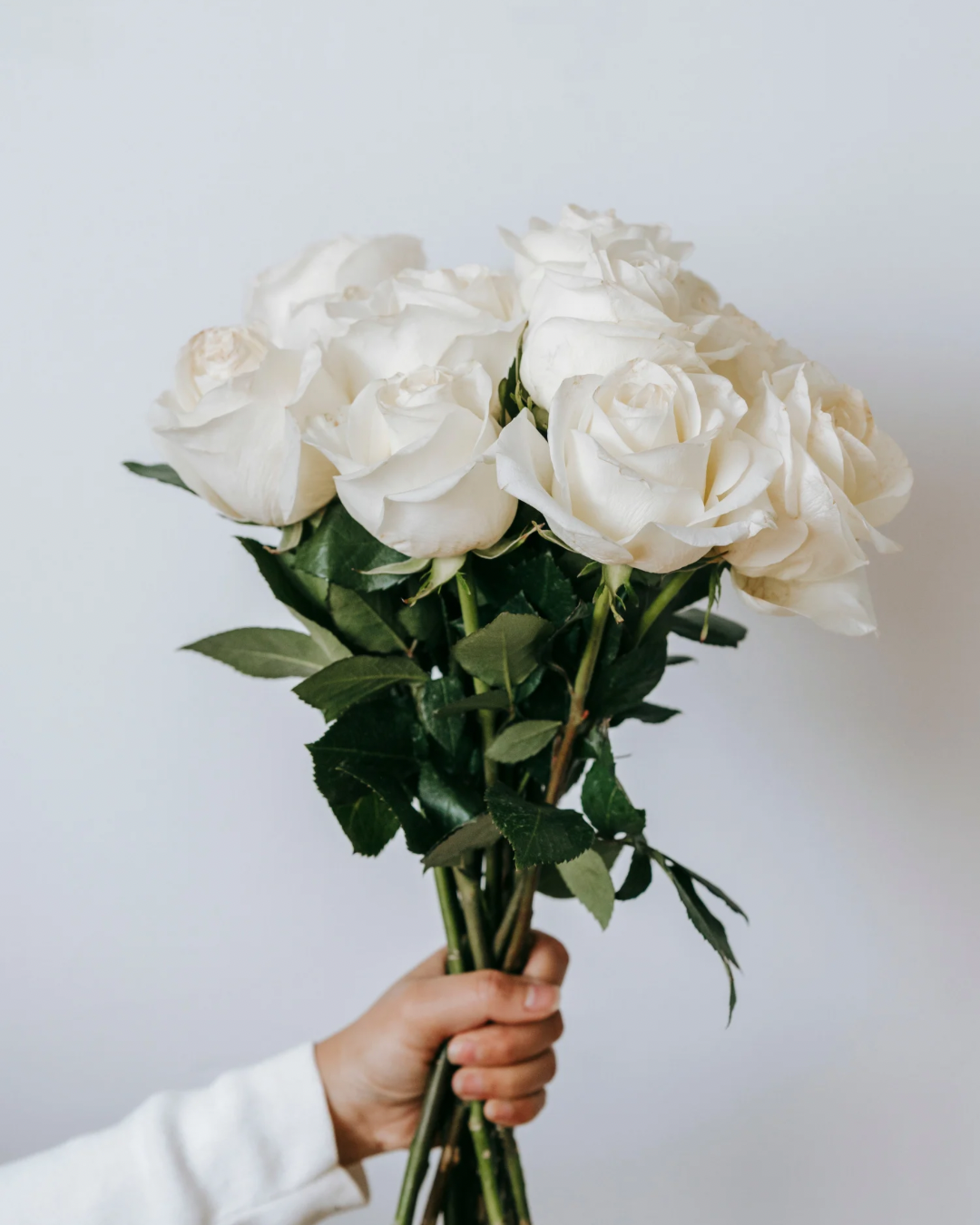 Kit Jóia e Rosas