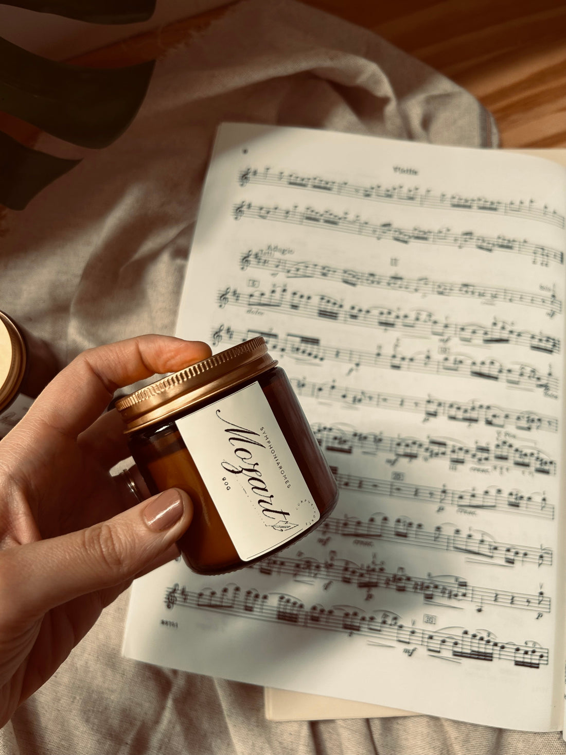 Quando o som desperta aromas: a ciência por trás da memória musical e olfativa