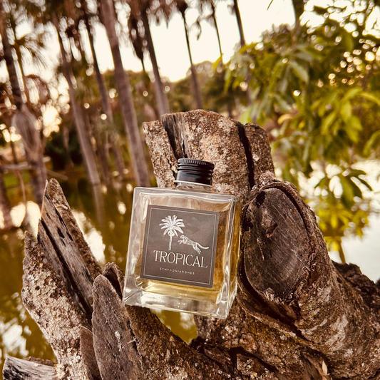 Difusor Tropical - 250 ml